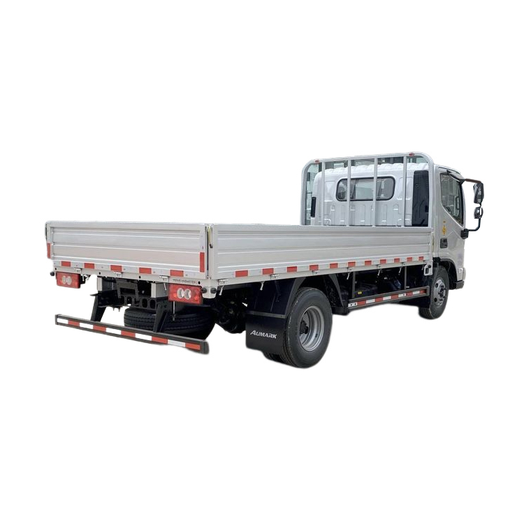 FOTON LIGHT CARGO TRUCK